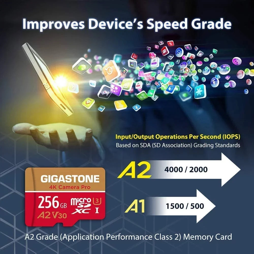 Dane-Elec Gigastone 4K Class10 U3 A2 V30 Camera Pro MicroSDXC Card, 256GB