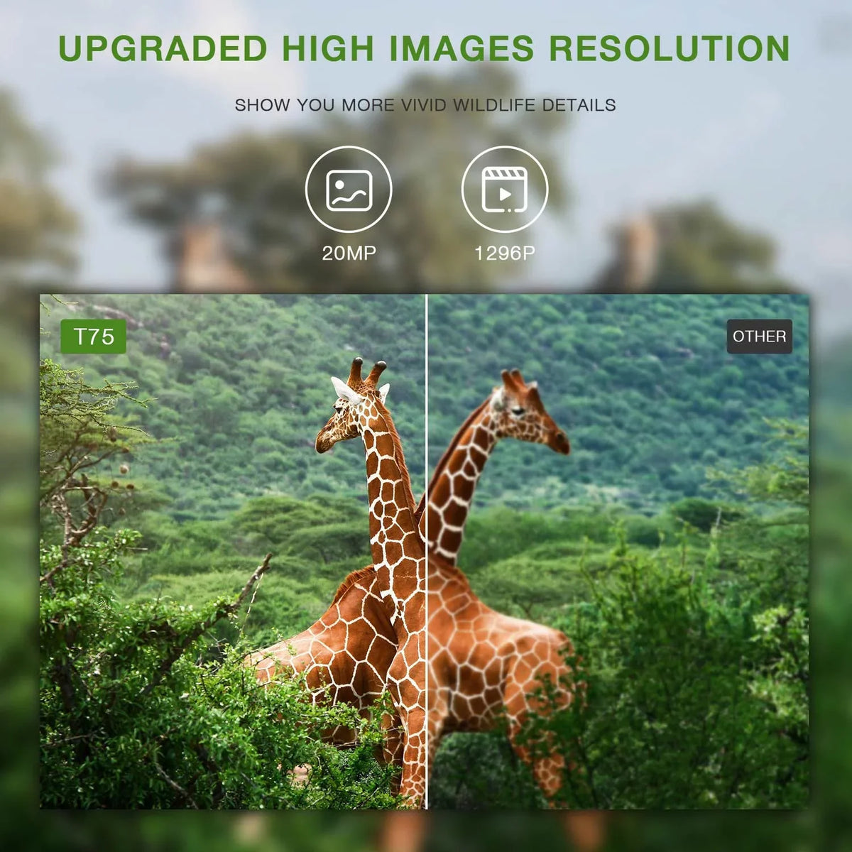 WiFi Bluetooth Trail Camera 20MP 1296P Deer Hunting Game Camera 65FT Infrared Night Vision Waterproof IP66 Outdoor Wildlife Trail Cam