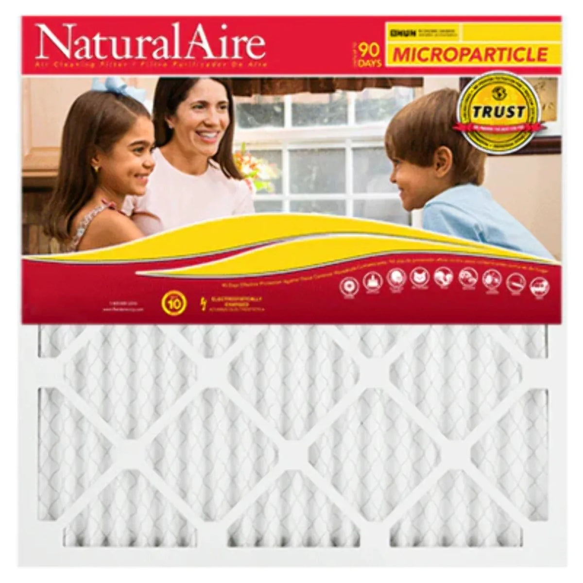 12x30x1 NaturalAire Microparticle  10 Filters 85256.011230 (6 pack)
