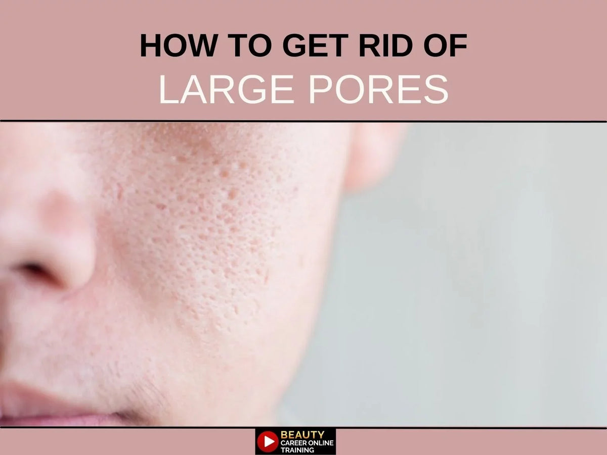 Beauty Career Academy: Small Pores, Large Pores, Face Pores, Fibroblast Training Manual,  [Online Activation Code]