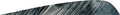 Gateway Parabolic Feathers