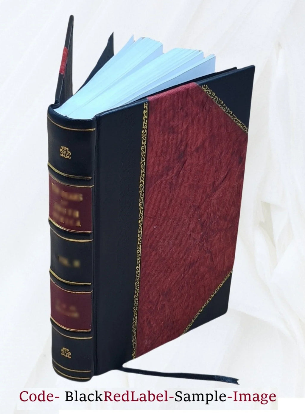 Shōsetsu Tōyō rekishi. Volume v.1 1926 [Leather Bound]