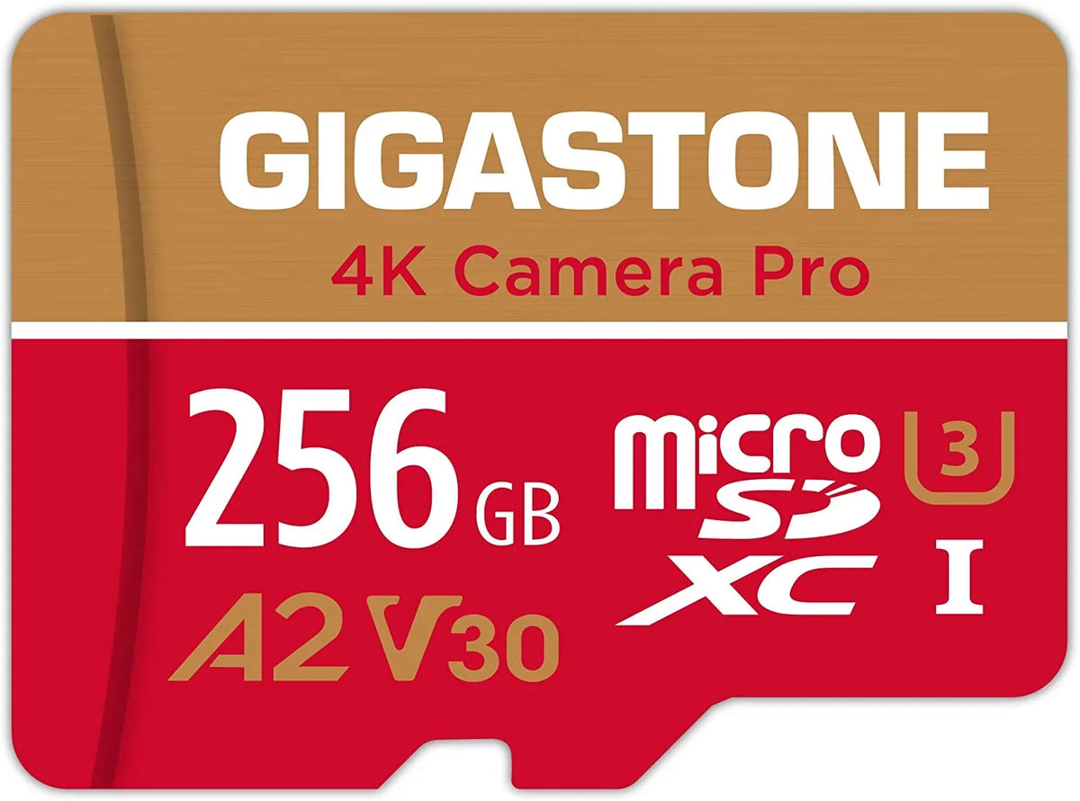 Dane-Elec Gigastone 4K Class10 U3 A2 V30 Camera Pro MicroSDXC Card, 256GB