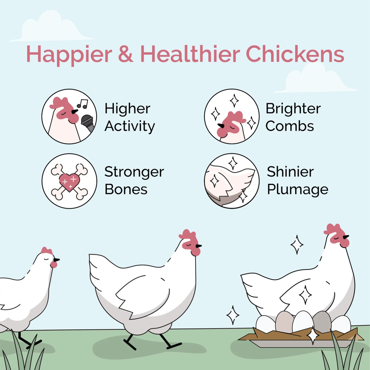 Mile Four | Grower Organic Chicken Feed | 100%  Grown Grains, Certified Organic, Certified Non-, Corn-Free, Soy-Free, Non-Medicated Chicken Food | 18% Protein | Whole Grain | 46 lbs.