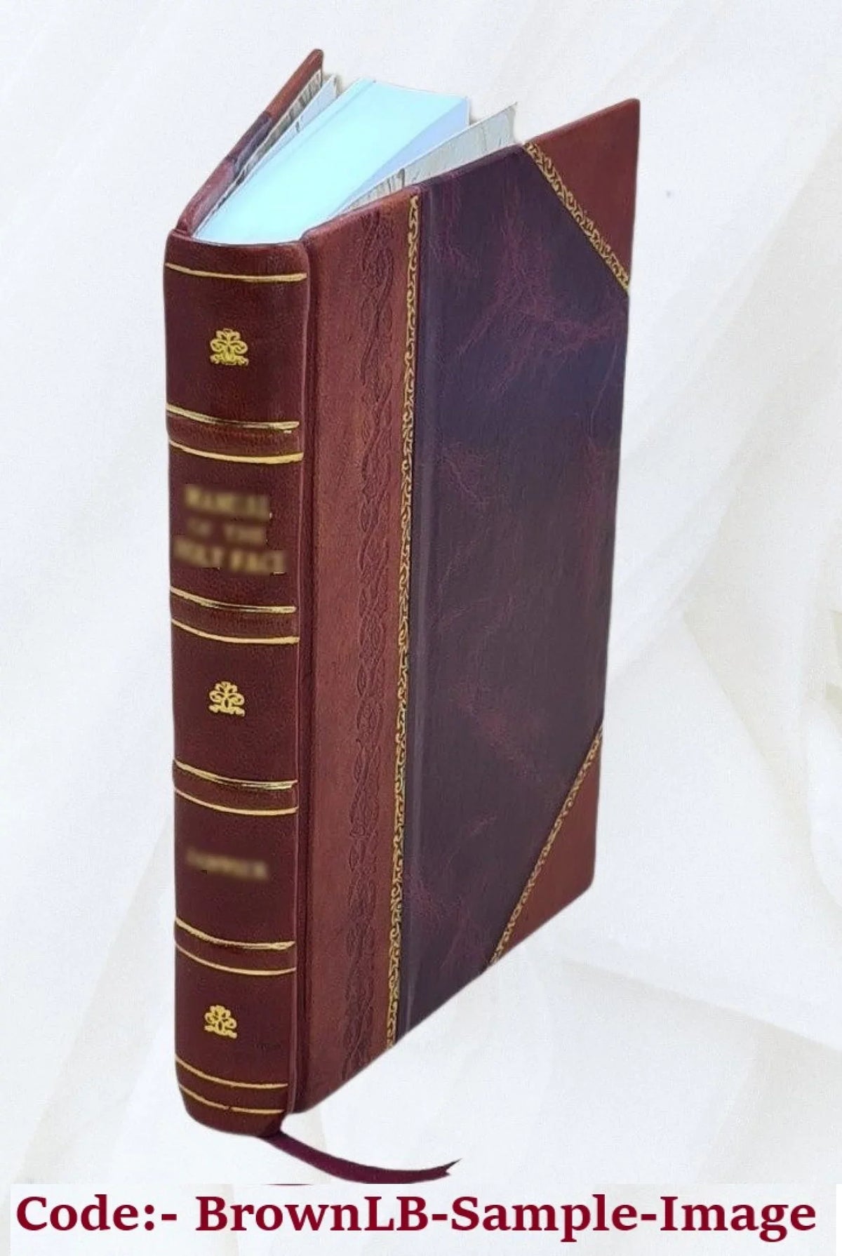 Shōsetsu Tōyō rekishi. Volume v.1 1926 [Leather Bound]