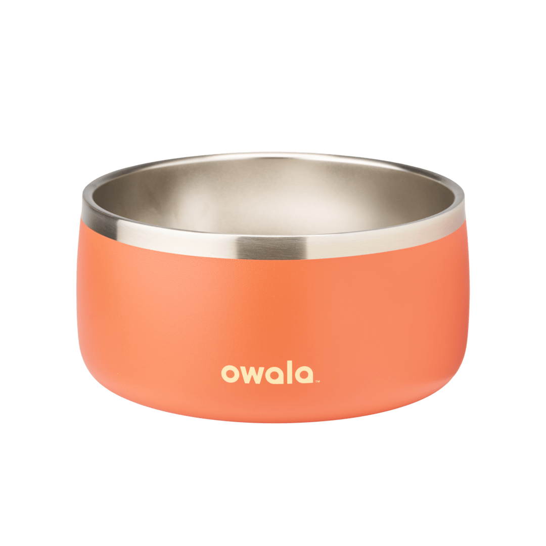 Pet Bowl - Second Set 39