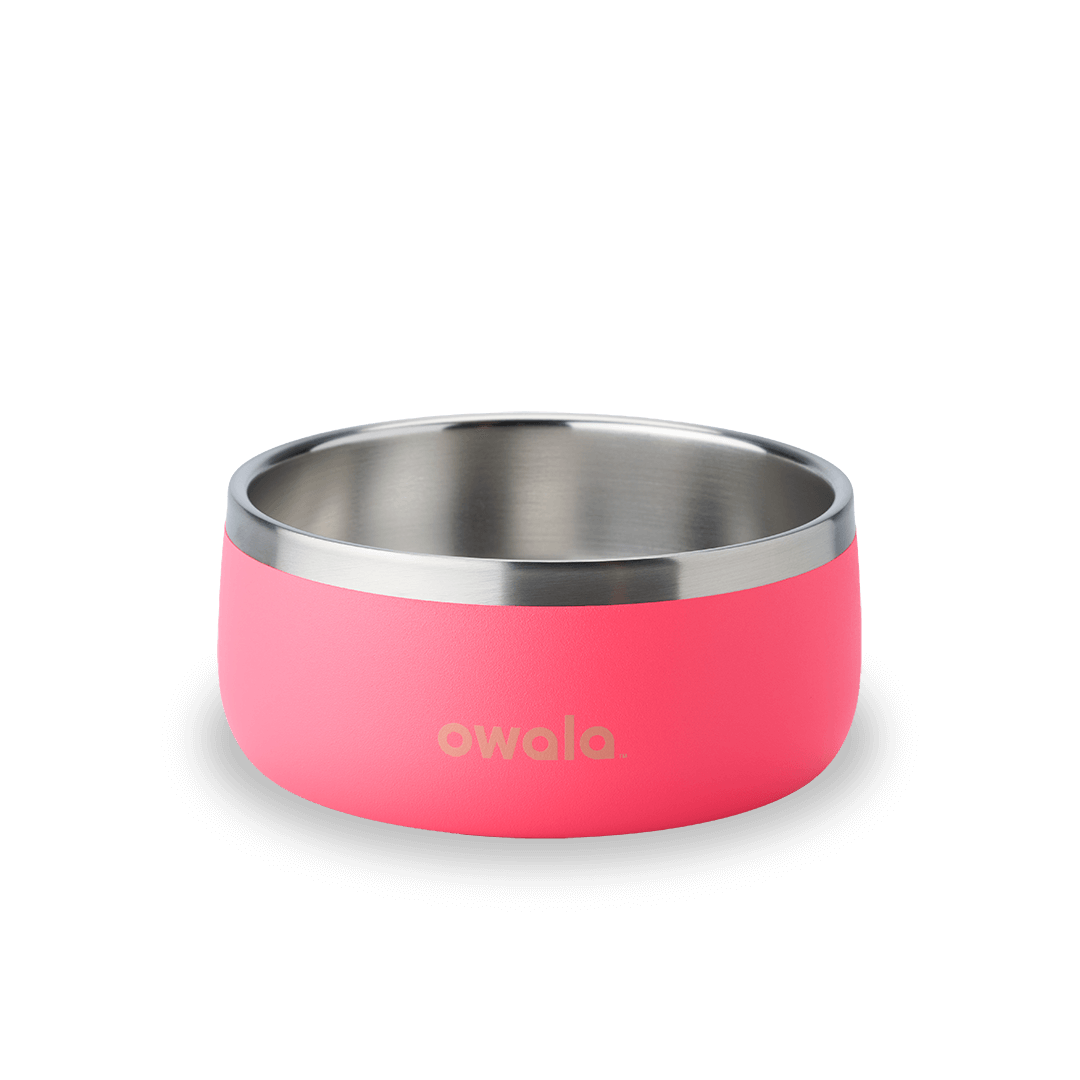 Pet Bowl - Second Set 39